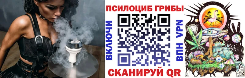Псилоцибиновые грибы Psilocybe  закладка  Таруса 